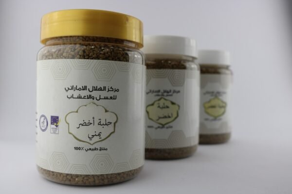 حلبة خضراء